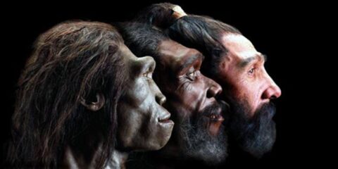 ketahui masalah kesehatan yang rentan dialami manusia prasejarah 480x240 - Ketahui Masalah Kesehatan yang Rentan Dialami Manusia Prasejarah