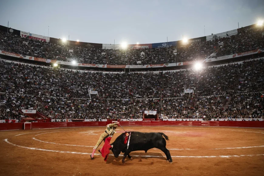 Return of bullfighting met by protests in Mexico City 870x580 - Return of bullfighting met by protests in Mexico City